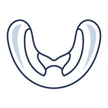 Icon for mouthguards
